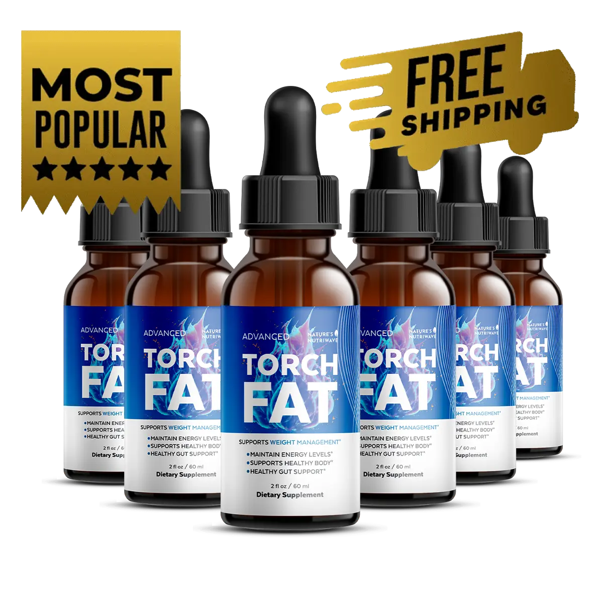 TorchFat    6 bottles